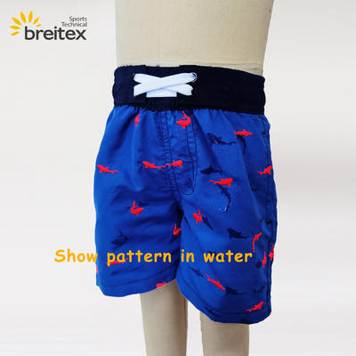 Boys' embroidered swim trunks from Breitex